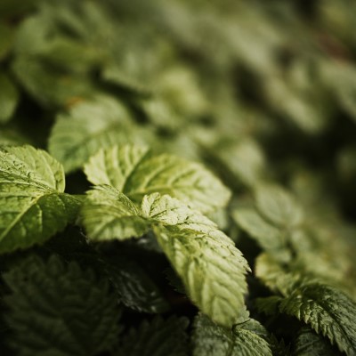 1920 x 1080 HD Wallpapers 1619